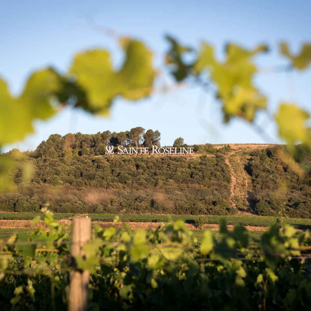 Château Sainte Roseline