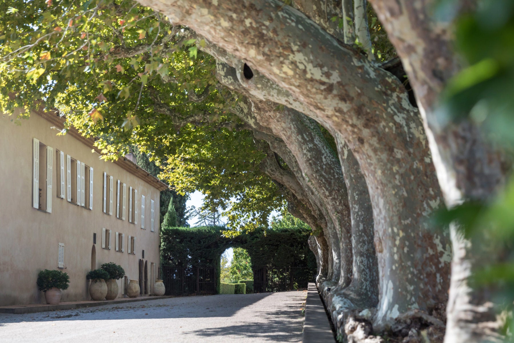 Château Sainte Roseline