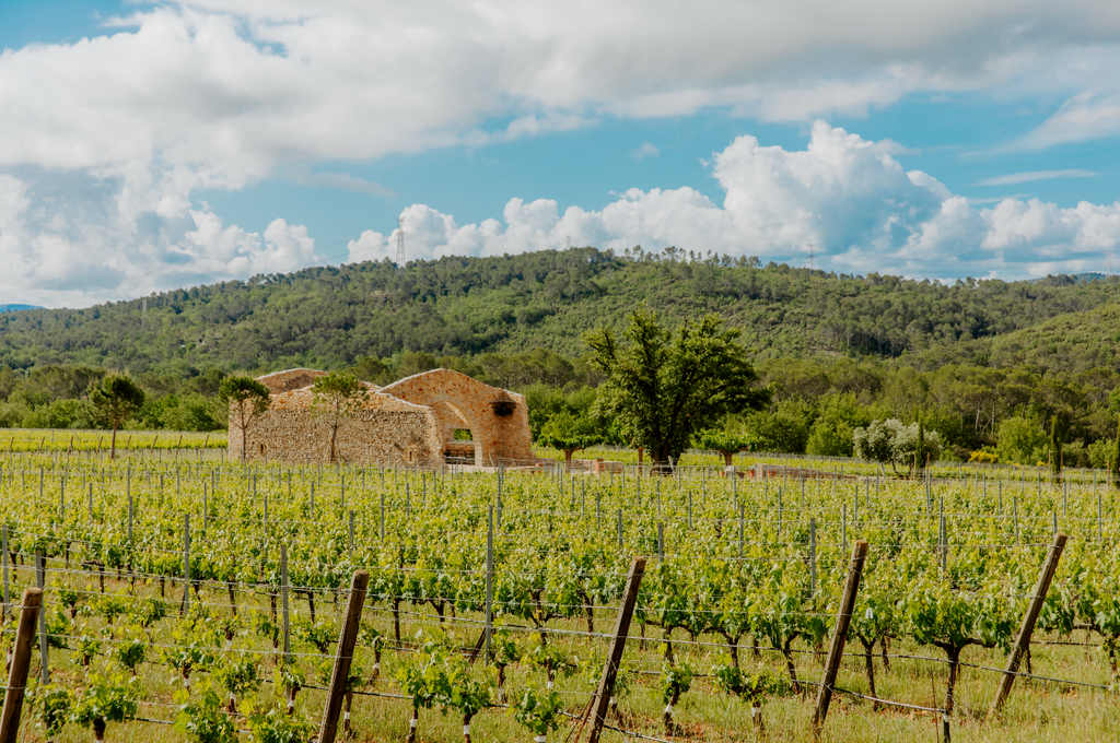 Château La Martinette
