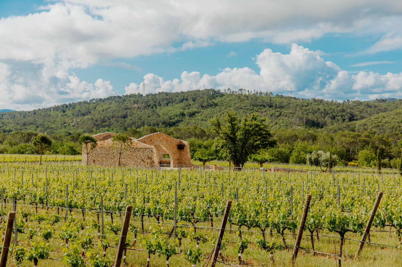 Château La Martinette