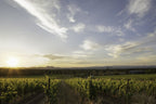 Ultimate Provence