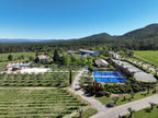 Ultimate Provence