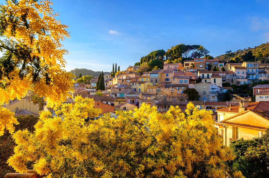 Hilios Tours – Guide privé